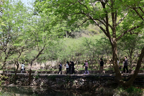 Glad teambuilding i Zhong Yandang Mountain